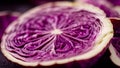 Red Cabbage Slice Fractal Pattern Macro Royalty Free Stock Photo