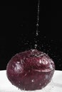 Red cabbage under jet of water