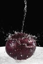 Red cabbage under jet of water