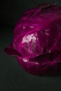 Red cabbage with water drops