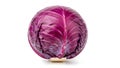 A red cabbage on a white background (ai generated) Royalty Free Stock Photo