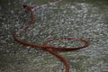 Red cable at a construction site during a major rain Royalty Free Stock Photo