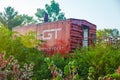 Red Caboose in Lush Greenery - Nature Reclaims Railway Artifact Royalty Free Stock Photo