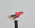 Red Caddis imitation