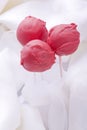 Red Cakepops