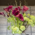 Red callas in floral arrangement