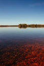 Red, calm lake and distant forest Royalty Free Stock Photo