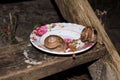 Red Cambodian ant stealing from bowl dog food Royalty Free Stock Photo