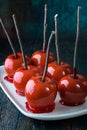 Red Candied Apples with Branches