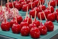 Red candied apples
