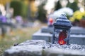 Red candle burning in a beautiful lantern laid on the grave of All Saints Day