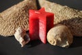 Red candle with Pinna nobilis, noble pen shells, macro photography, closeup