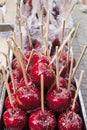Red candy apples . Traditional American sweets for children on Christmas