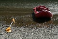 Red canoe and yellow sculls