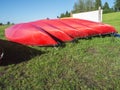 Red canoes upside down on a meadow Royalty Free Stock Photo