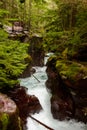 Red canyon of Avalanche creek along the Cedars trail Royalty Free Stock Photo