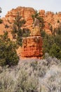 Red Canyon in Dixie National Foresst Royalty Free Stock Photo