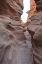 Red canyon in Israel near Eilat. Picturesque and undulating rocks hollowed out by rain in sandstone in the Negev desert