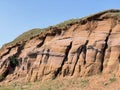 Red canyon in Kukmor, Tatarstan, Russia Royalty Free Stock Photo