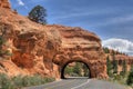 Red Canyon Utah