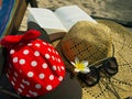 Red cap with white polka dots, straw hat, flowers, book and sung Royalty Free Stock Photo