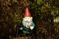 A red-capped Gnome is perched on a moss covered river bank. Royalty Free Stock Photo