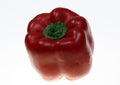 Red Capsicum Royalty Free Stock Photo