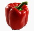 Red Capsicum Royalty Free Stock Photo