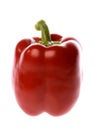 Red Capsicum Royalty Free Stock Photo