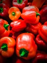 Red capsicum on display, fresh vegetables for healthy cuisine