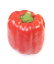 Red capsicum Royalty Free Stock Photo