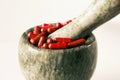 Red capsules and orange pills with mortar pestles on white background. Royalty Free Stock Photo
