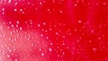 Red car after rain. Water drops collect on top of metal surface. red water drops on abstract background Royalty Free Stock Photo