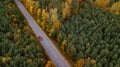 Red car rides on autumn forest road aerial view Royalty Free Stock Photo