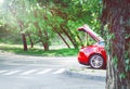 Red car among trees  in nature Royalty Free Stock Photo