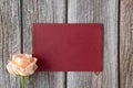 red card and peach color rose Royalty Free Stock Photo