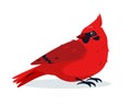 Red Cardinal bird icon isolated on white Royalty Free Stock Photo