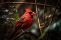 Red Cardinal Bird Sitting On A Jungle Vine. Generative AI