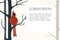 Red cardinal bird vector banner. Cute Northern cardinal songbird sitting on tree branch illustration with place for text