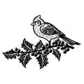 Red Cardinal bird - Winter Bird, Wildlife Stencils for Christmas Bird Decor, winter decor, Clipart Vector