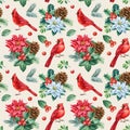 Red cardinal birds, Christmas seamless pattern, watercolor illustration. spruce branches, holly and poinsettia