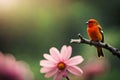 red cardinal on a branch cardinal on a branch red headed bee eater Royalty Free Stock Photo