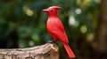 Red Cardinal Figurine: A Pop Art Inspired Wooden Log Perch