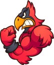 Strong cartoon red cardinal mascot