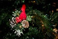 Red Cardinal Ornament and Snowy Pine cones on a Christmas Tree Royalty Free Stock Photo