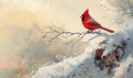 A red cardinal is perched on a branch Royalty Free Stock Photo