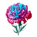Red Carnation Flower: Blue, Red, Violet Illustrations for Stylish Designs.