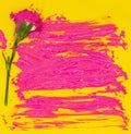 Red carnation flower and colorful wet pink gouache acrylic paint brush strokes spots on bright yellow colored paper. A background