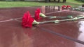 Red carnation flower laying on a stone granite plate near the monument of unknown soldier and eternal flame as a symbol of victory Royalty Free Stock Photo