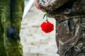 Red carnation flowers in the hand of men in camouflage uniform Royalty Free Stock Photo